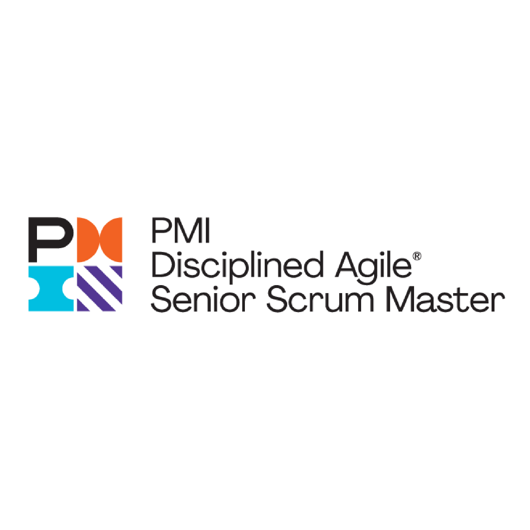 Disciplined Agile Senior Scrum Master (DASSM)