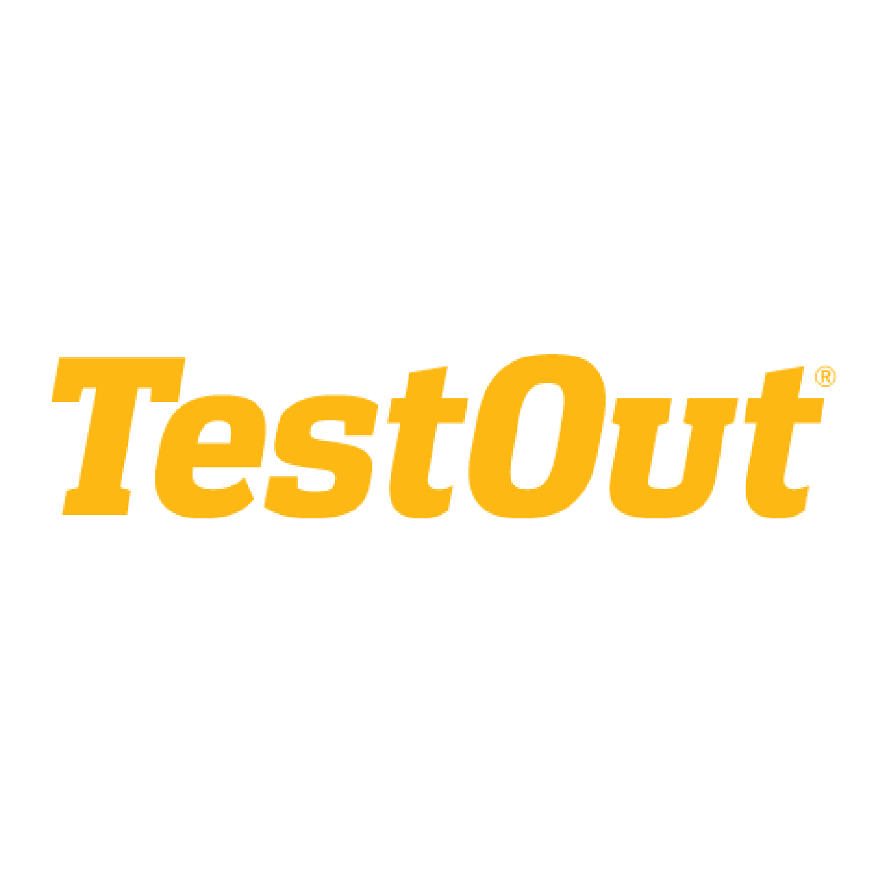 TestOut Office Pro (Version 8.0)
